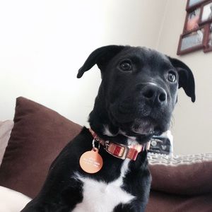 Meet your Posher, Nate